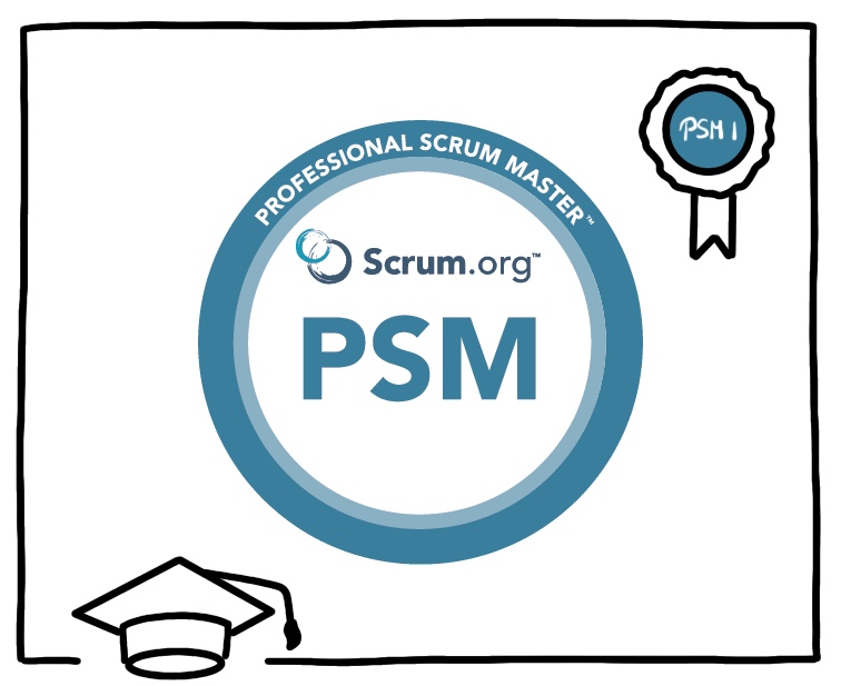 Professional Scrum Master™️